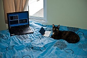 Mixi Helps Me Work